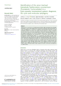 Identification of the Avian Tracheal Trematode Typhlocoelum