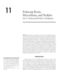 11 Podocarp Roots, Mycorrhizas, and Nodules Ian A