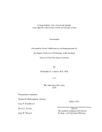 THE ORIGIN and EVOLUTION of SNAKE EYES Dissertation