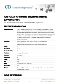 Anti-NACA (C-Terminal) Polyclonal Antibody (DPABH-27484) This Product Is for Research Use Only and Is Not Intended for Diagnostic Use
