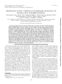 Identification of Type 3 Fimbriae in Uropathogenic Escherichia Coli