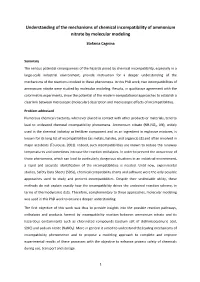 Understanding of the Mechanisms of Chemical Incompatibility of Ammonium Nitrate by Molecular Modeling