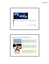 07-Control of Movement