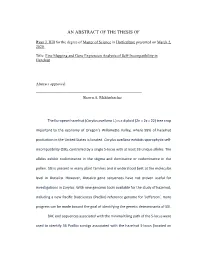 An Abstract of the Thesis Of