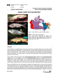 Asian Carp Status Report