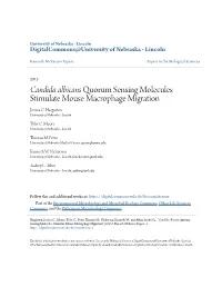 Candida Albicans Quorum Sensing Molecules Stimulate Mouse Macrophage Migration Jessica C