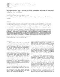 Different Levels of Hsp70 and Hsc70 Mrna Expression in Iberian Fish Exposed to Distinct River Conditions