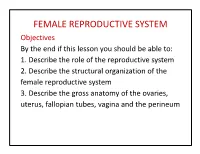 FEMALE REPRODUCTIVE SYSTEM Objectives by the End If This Lesson You Should Be Able To: 1