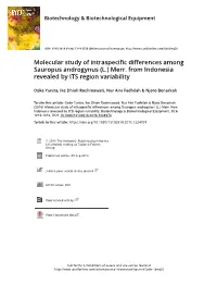 Molecular Study of Intraspecific Differences Among Sauropus Androgynus (L.) Merr