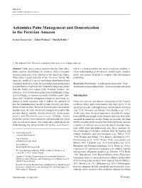 Asháninka Palm Management and Domestication in the Peruvian Amazon