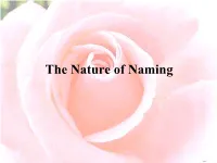 The Nature of Naming What’S in a Name?