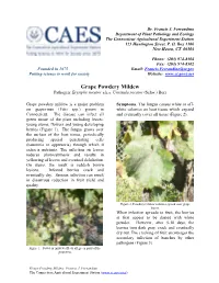 Grape Powdery Mildew Pathogen: Erysiphe Necator A.K.A
