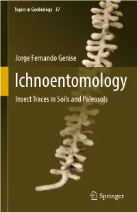 Ichnoentomology Insect Traces in Soils and Paleosols Topics in Geobiology