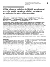 KIF1A Missense Mutations in SPG30, an Autosomal Recessive Spastic Paraplegia: Distinct Phenotypes According to the Nature of the Mutations