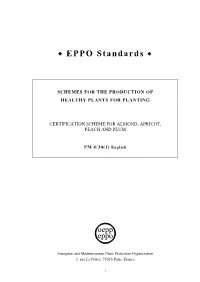 Pm4-030-1-En.Pdf