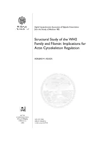 Structural Study of the WH2 Family and Filamin: Implications for Actin Cytoskeleton Regulation