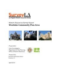 Surveyla Survey Report Template