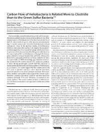 Carbon Flow of Heliobacteria Is Related More