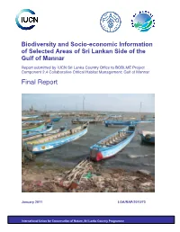 Final Report