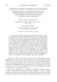 Synergistic Activity of Ampicillin and Cloxacillin
