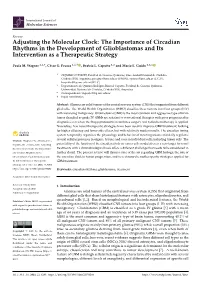Adjusting the Molecular Clock: the Importance of Circadian Rhythms in the Development of Glioblastomas and Its Intervention As a Therapeutic Strategy