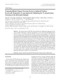 Yangonin Blocks Tumor Necrosis Factor-Α–Induced Nuclear Factor-Κb–Dependent Transcription by Inhibiting the Transactivation Potential of the Rela/P65 Subunit