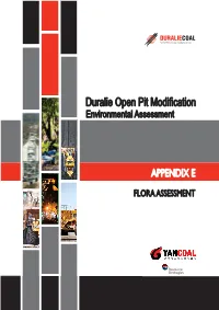 Duralie Open Pit Modification Environmental Assessment