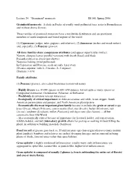 Lecture 24: "Graminoid" Monocots IB 168, Spring 2006