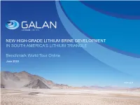 New High-Grade Lithium Brine Development in South America’S Lithium Triangle