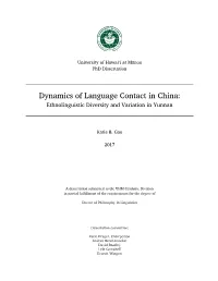 Dynamics of Language Contact in China: Ethnolinguistic Diversity and Variation in Yunnan