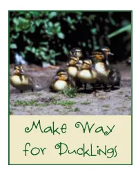 Make Way for Ducklings Make Way for Ducklings Book by Robert Mccloskey Lessons and Printables by Tamara, Kendall, Wende, and Ami