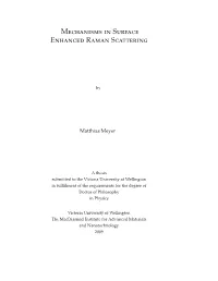 Mechanisms in Surface Enhanced Raman Scattering