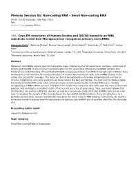 Non-Coding RNA - Small Non-Coding RNA 09:00 - 10:00 Saturday, 30Th May, 2020 Talk Session Chair Jeremy Wilusz