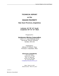 TECHNICAL REPORT on the HUACHI PROPERTY San Juan Province