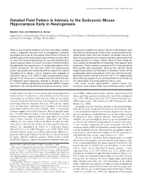 Detailed Field Pattern Is Intrinsic to the Embryonic Mouse Hippocampus Early in Neurogenesis