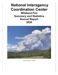 Wildland Fire Summary and Statistics Annual Report 2020
