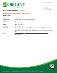 Khdrbs1 Mouse Shrna Plasmid (Locus ID 20218) Product Data