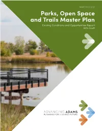 Parks, Open Space and Trails Master Plan Existing Conditions and Opportunities Report 90% Draft TABLE of CONTENTS