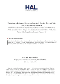 Building a Robust, Densely-Sampled Spider Tree