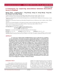 A Framework for Exploring Associations Between Biomedical Terms in Pubmed