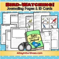Background Data Bird Identification