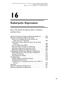 Eukaryotic Expression