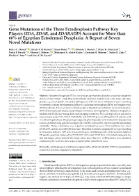 Gene Mutations of the Three Ectodysplasin Pathway Key Players