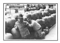 Glebe Report - N EWS Play Structure Is Great