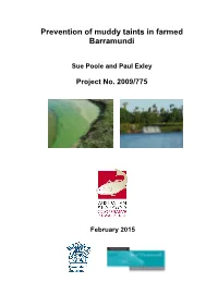 Prevention of Muddy Taints in Farmed Barramundi