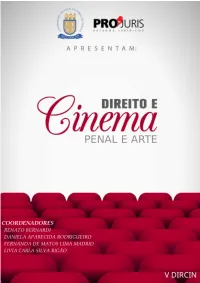 Direito E Cinema Penal E Arte / Renato Bernardi, Daniela Aparecida Rodrigueiro, Fernanda De Matos Lima Madrid & Livia Carla Silva Rigão, Organizadores