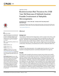 Biodeterioration Risk Threatens the 3100 Year Old Staircase of Hallstatt (Austria): Possible Involvement of Halophilic Microorganisms