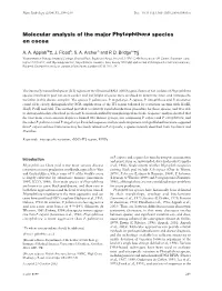 Molecular Analysis of the Major Phytophthora Species on Cocoa