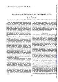 Reference of Sensation at the Spinal Level by P