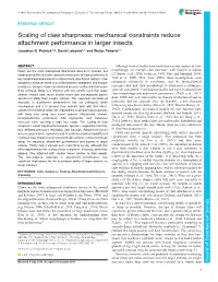 Mechanical Constraints Reduce Attachment Performance in Larger Insects Jonathan G